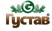 Cалон паркета «Густав»